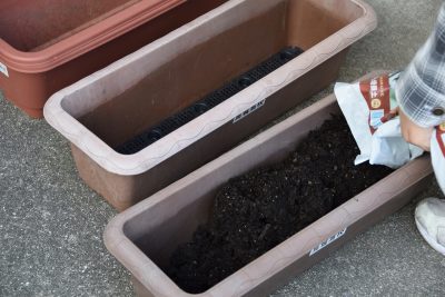 チャレンジ製作（花の植え替えと贈呈）