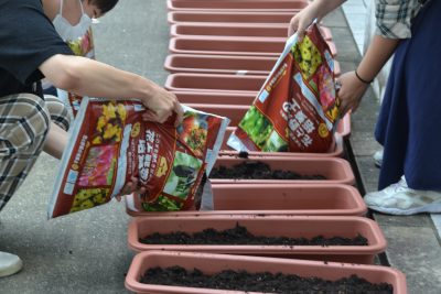 チャレンジ製作（花の植え替えと贈呈）
