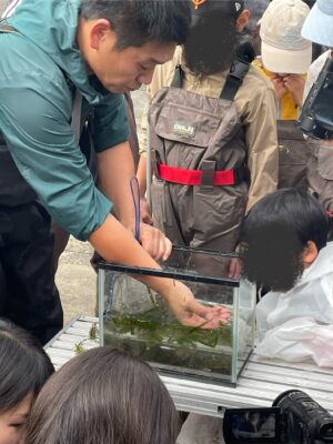 秋の環境てんけんボランティア